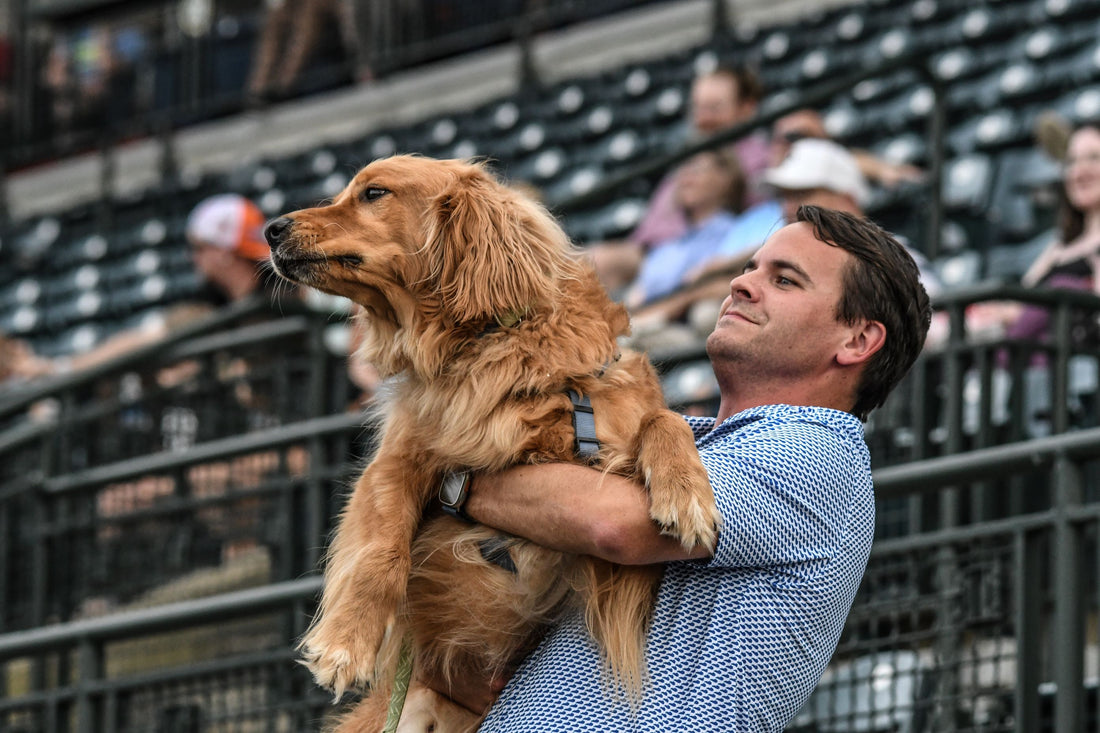 Legends Down Blue Crabs